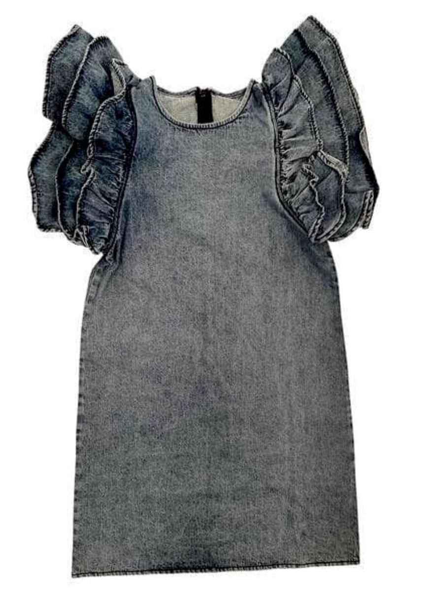 Denim Ruffle Dress